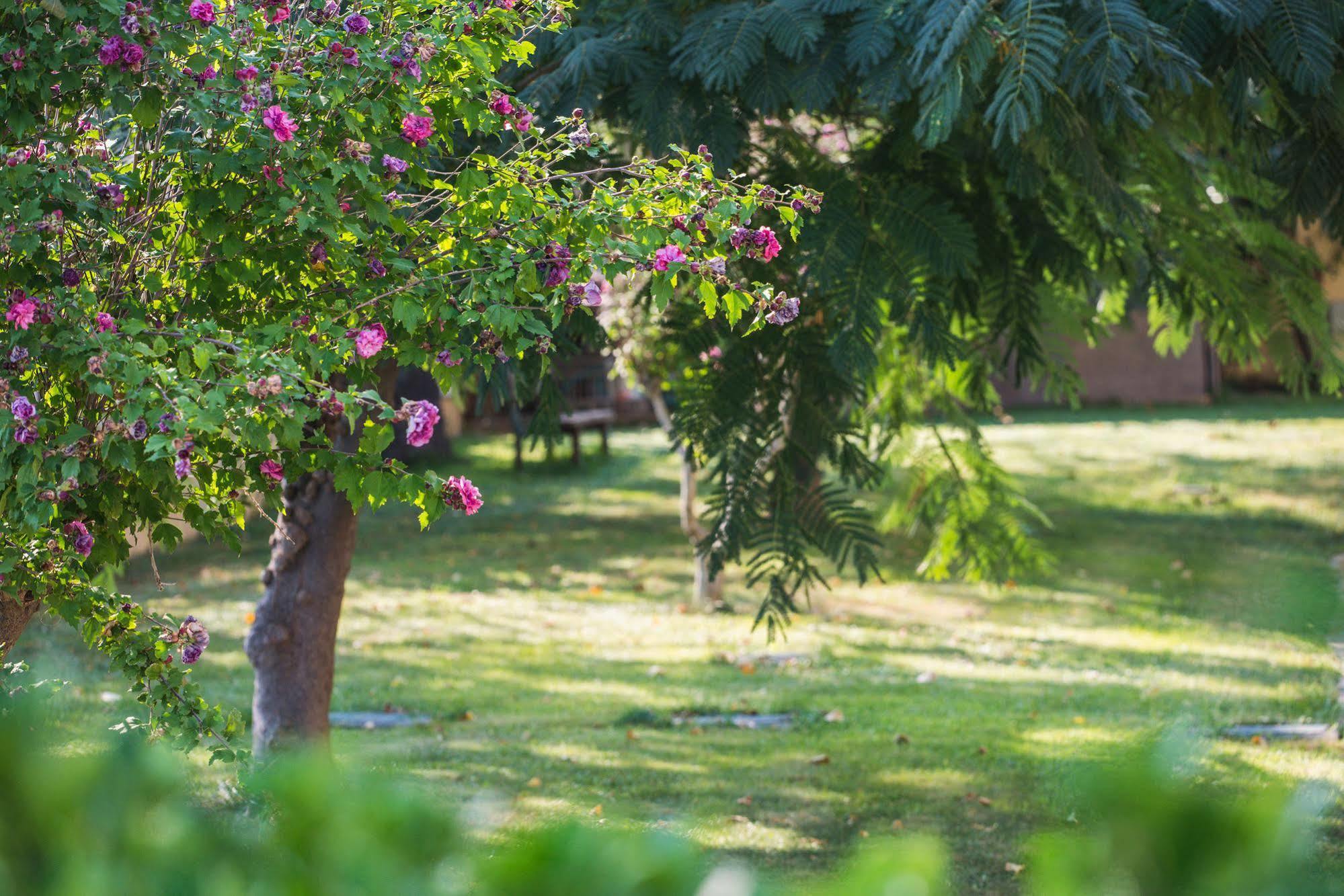 Plaza Hotel Alexandroupoli Eksteriør billede